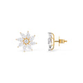 Diamond Earrings - DER0023
